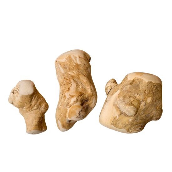 Three Gorilla coffee wood dog chew pieces in different sizes