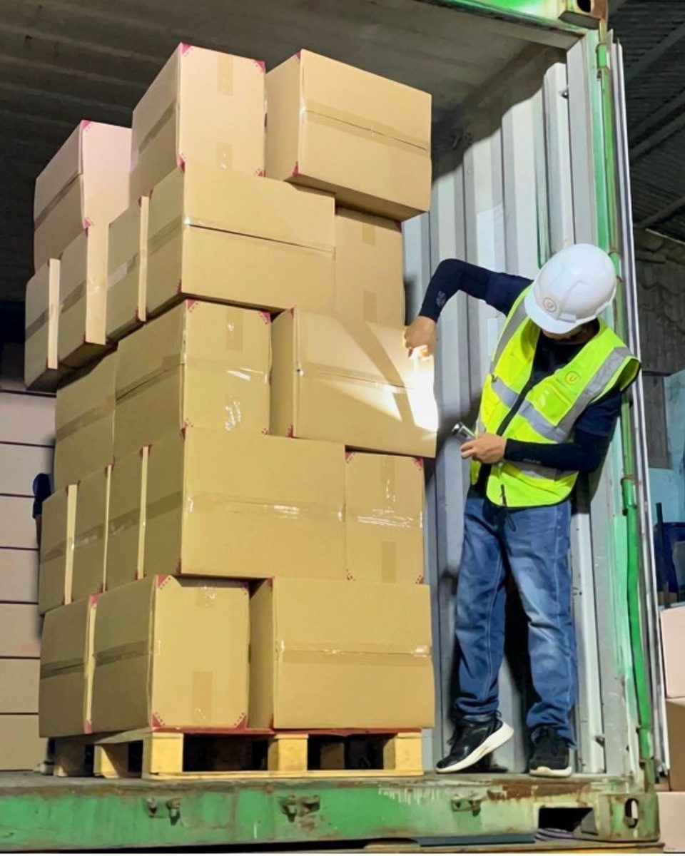 Master cartons of coffee wood dog chews stacked on a pallet inside a container during loading.