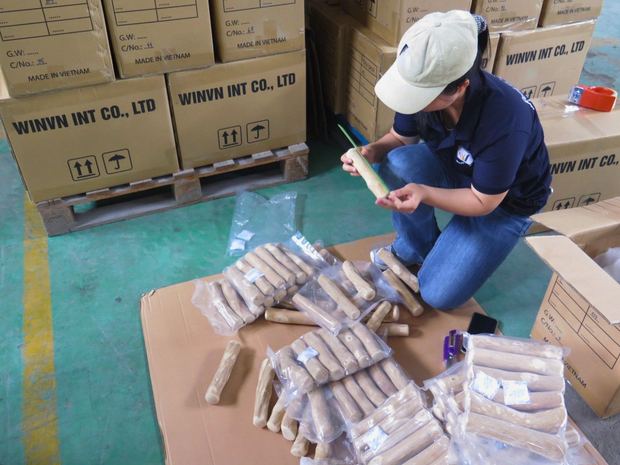 QC inspection team