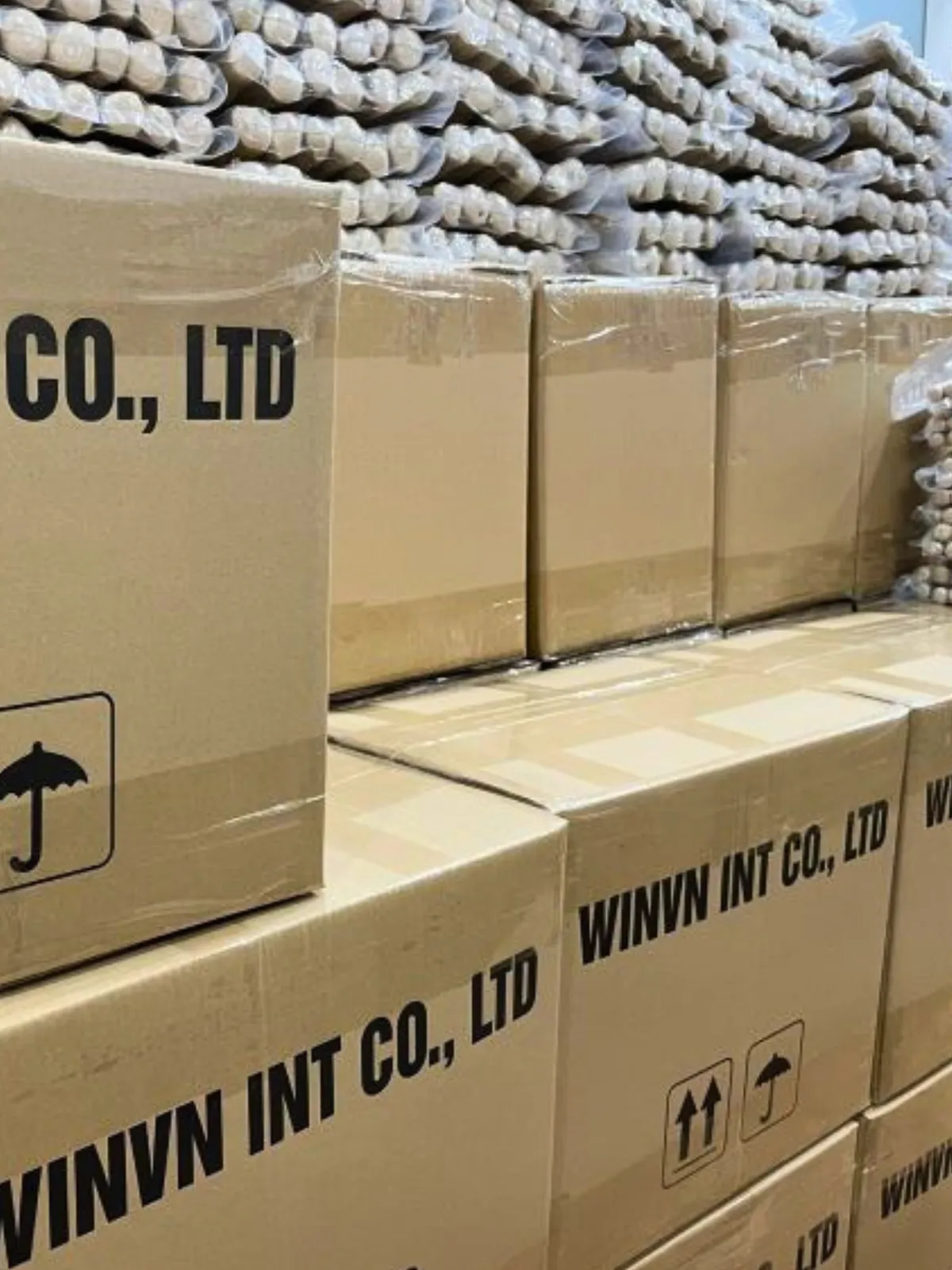 Master cartons of coffee wood dog chews stacked in the WINVN INT warehouse